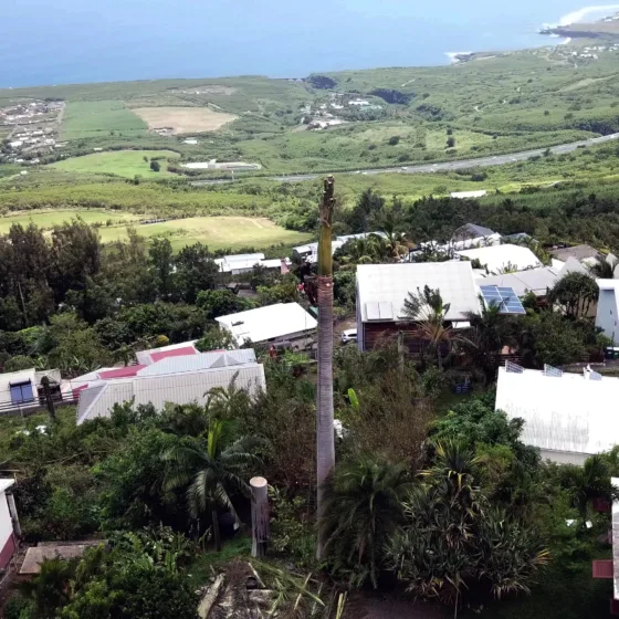 Elagueur en exercice et panorama