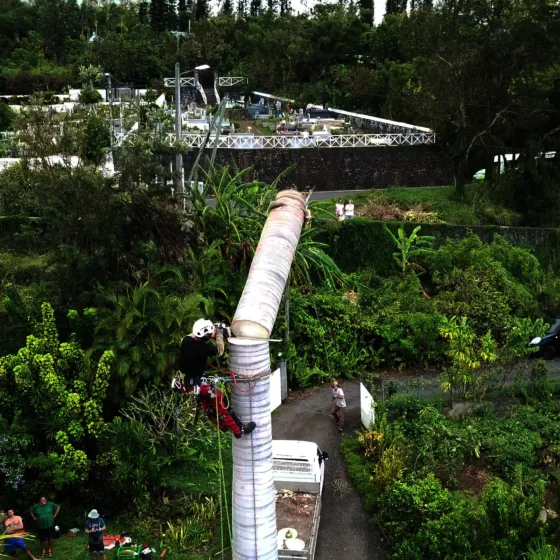 Elagueur en exercice de hauteur (débit)